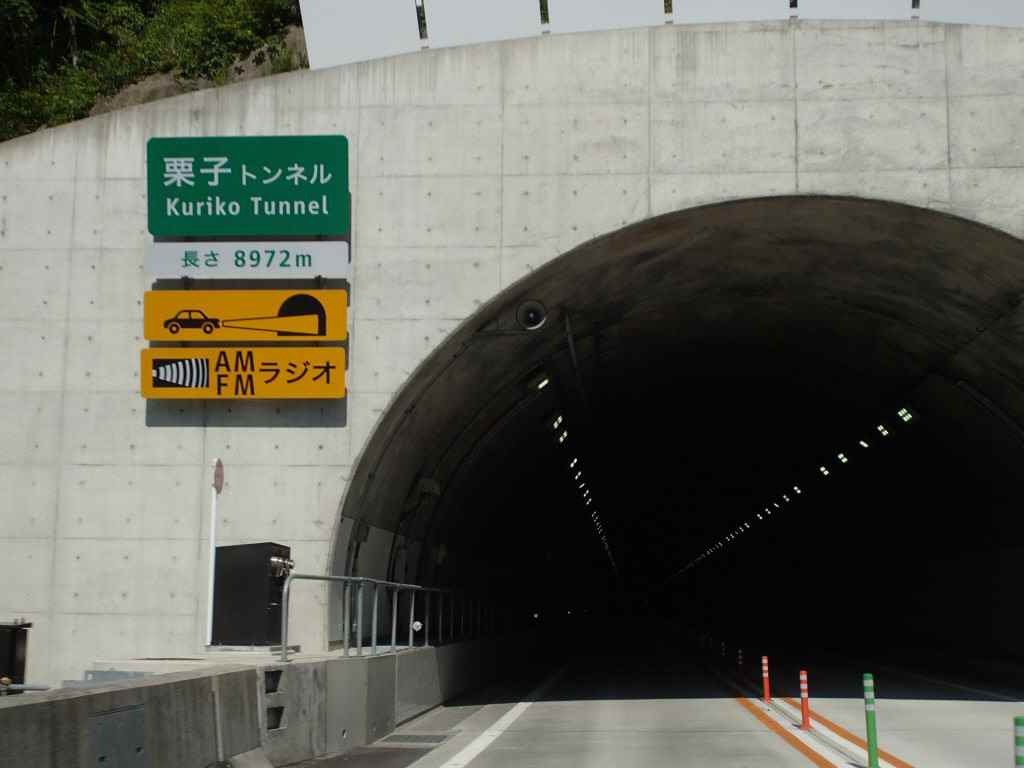 限定品】 フィッシュトンネル 長さ4.6m AB025221